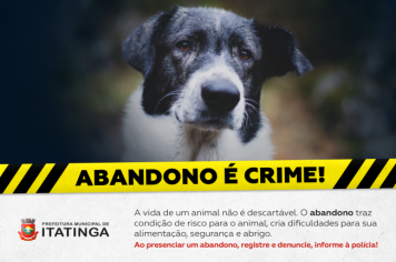 ABANDONO DE ANIMAIS É CRIME!