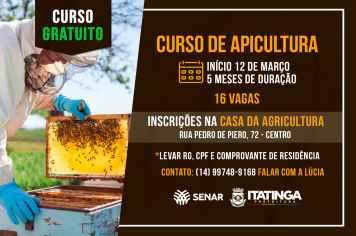 Curso Gratuito de Apicultura! 