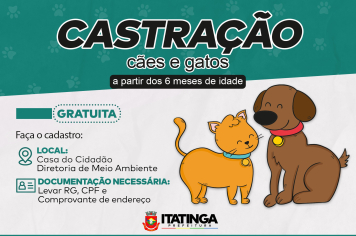 CASTRAÇÃO DE CÃES E GATOS - GRATUITA