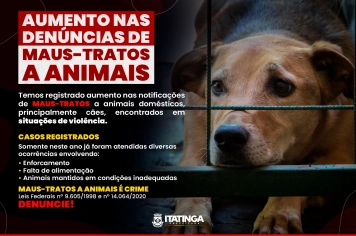Prefeitura reforça combate aos maus-tratos contra animais