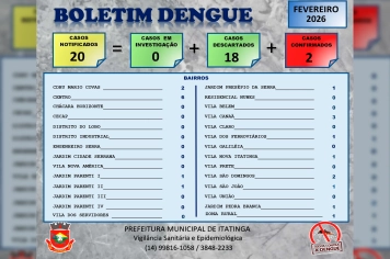 Boletim da Dengue – Fevereiro/2026