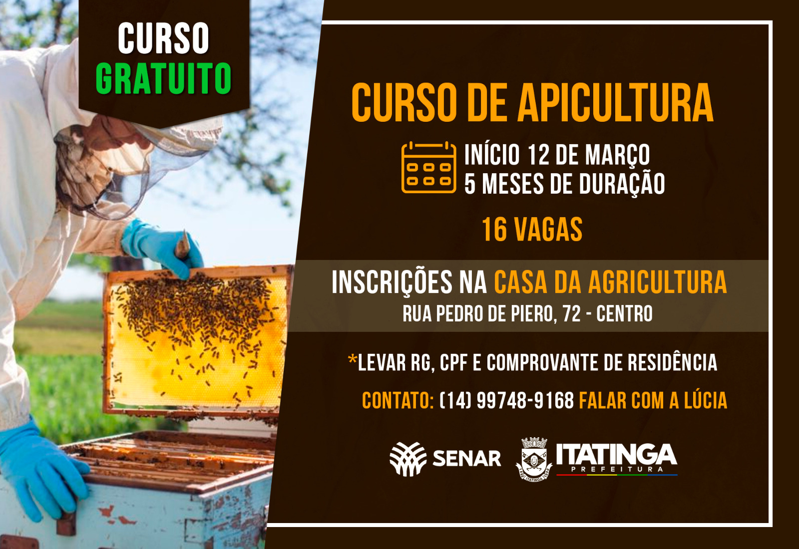Curso Gratuito de Apicultura! 